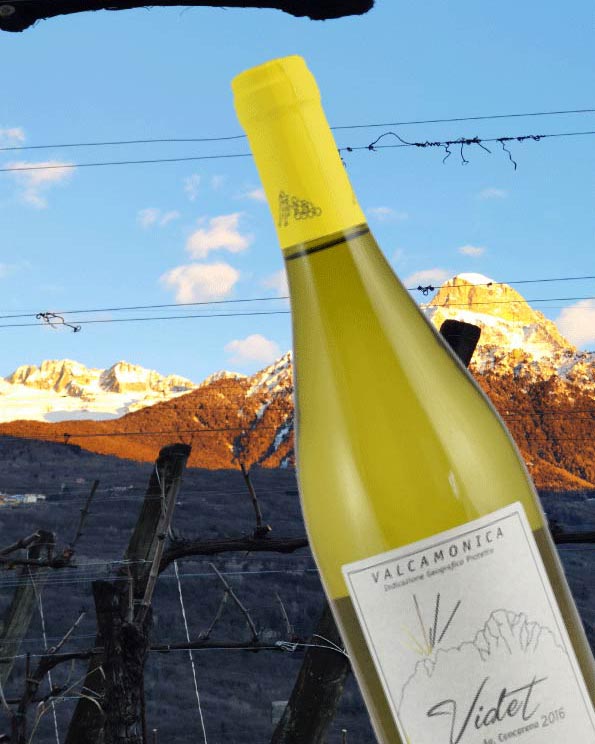Bottle of VIDET - IGT Valcamonica Bianco 2022