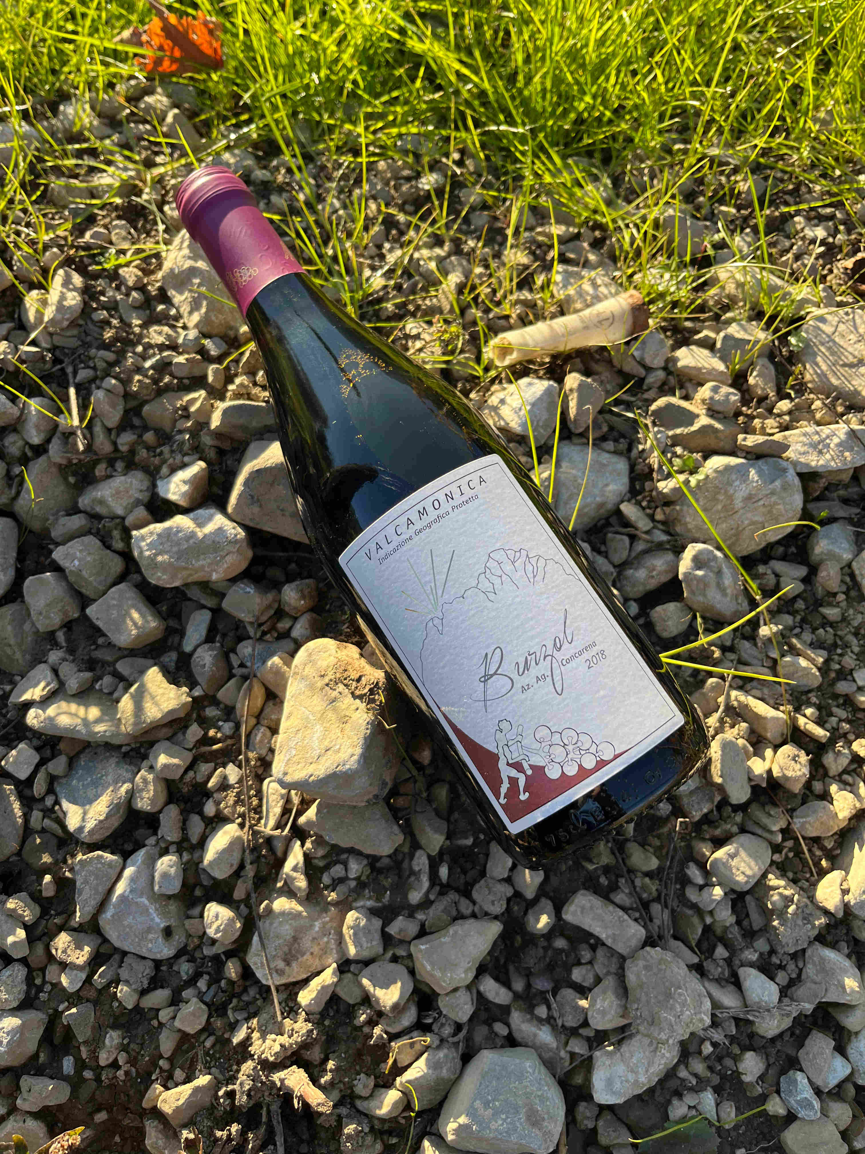 Bottiglia di BURZOL - IGT Valcamonica Rosso 2018