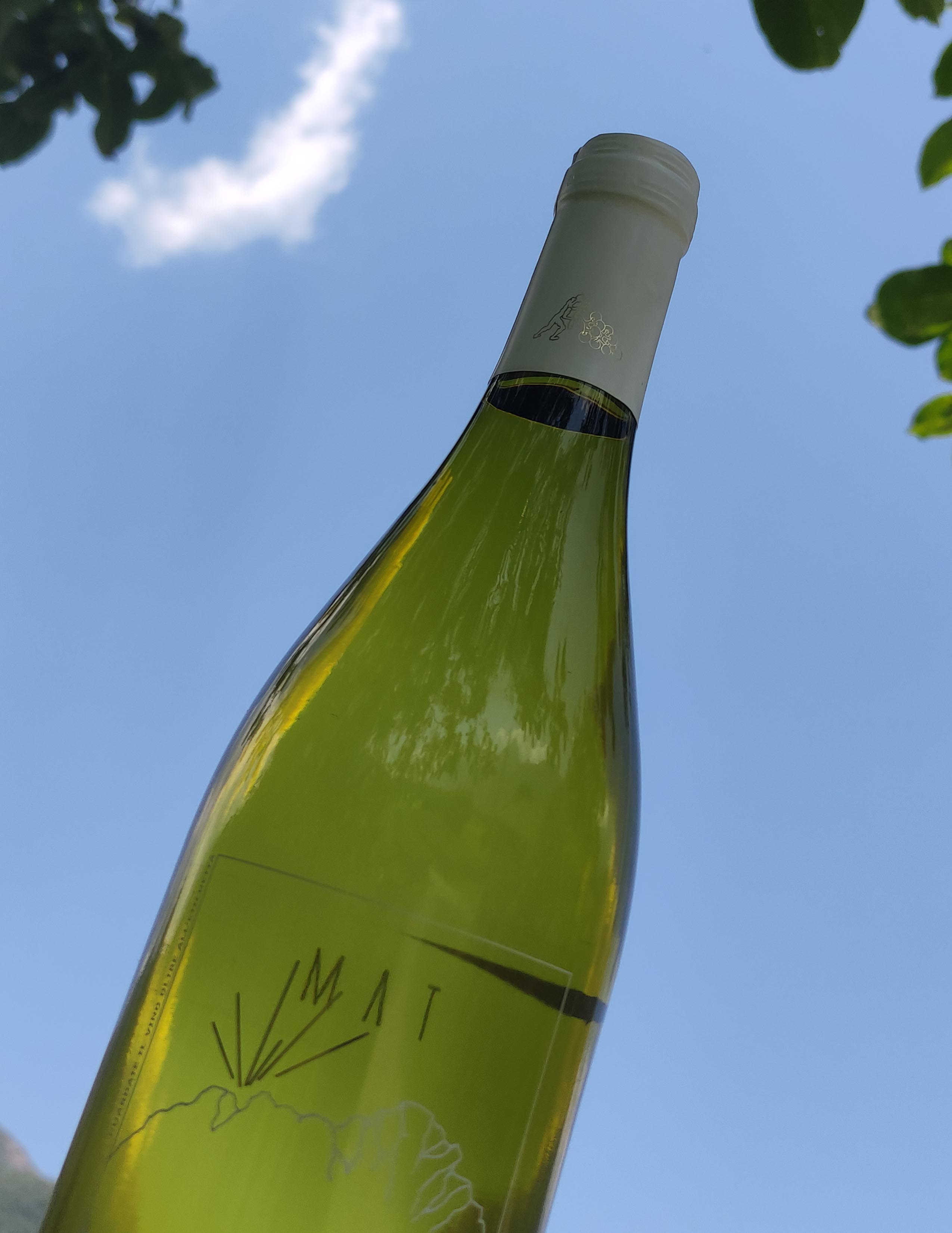 Bottiglia di MAT - IGT Valcamonica Bianco 2020