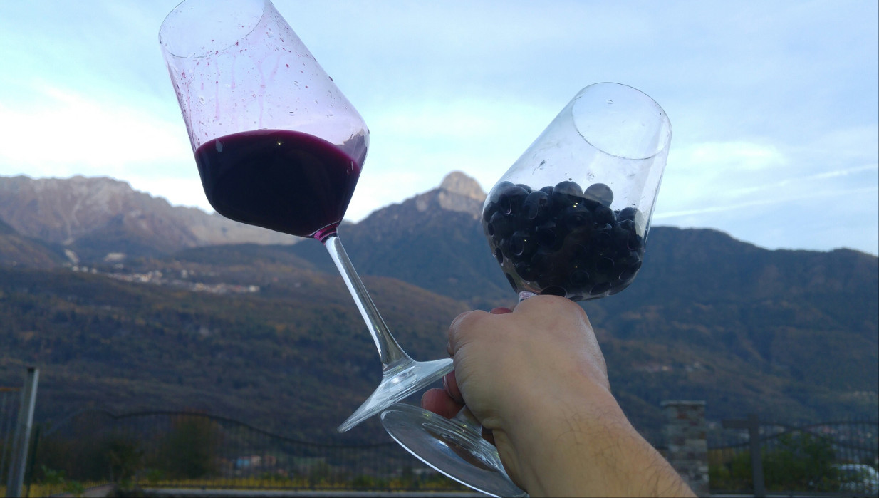Lavoro nei vigneti della Cantina Concarena