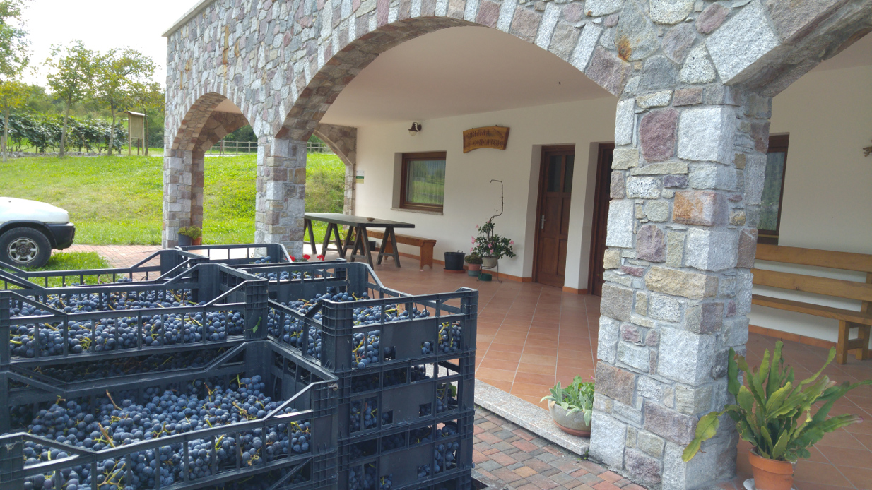 Cantina dove avviene la vinificazione dei vini Concarena